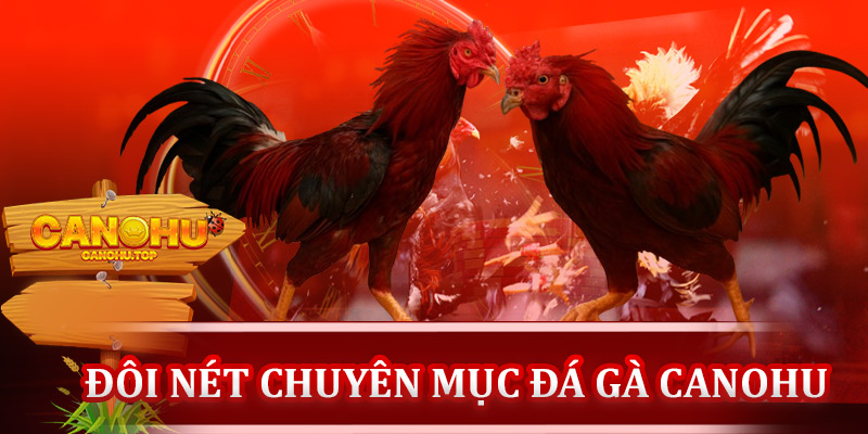 Giới thiệu đôi nét về chuyên mục đá gà canohu
